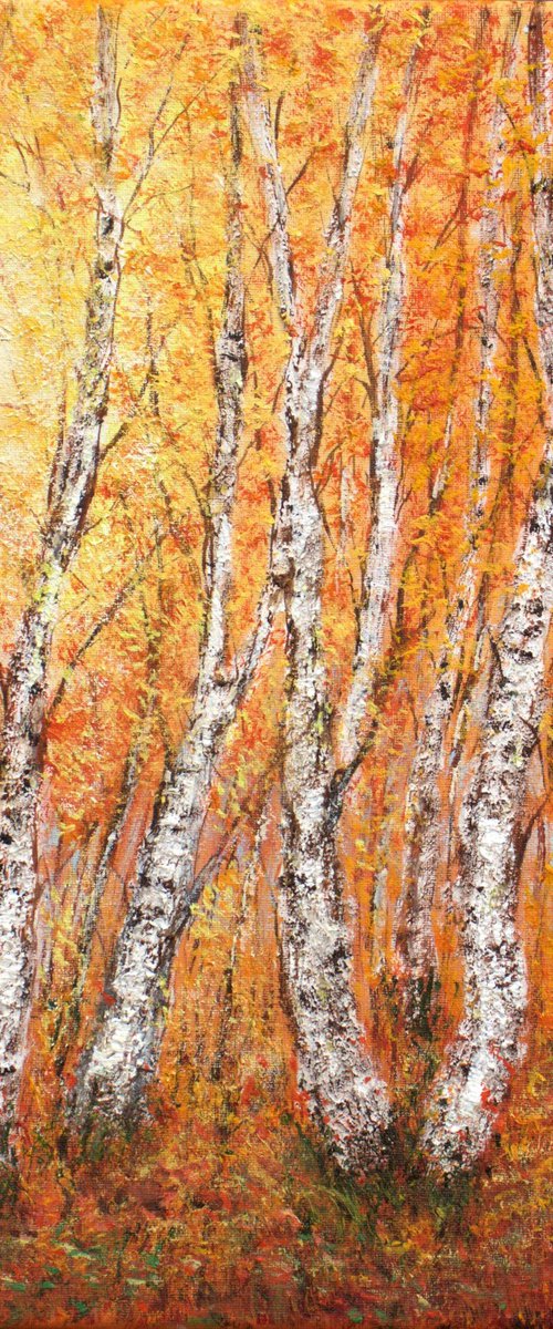 Autumn birch trees by Ludmilla Ukrow