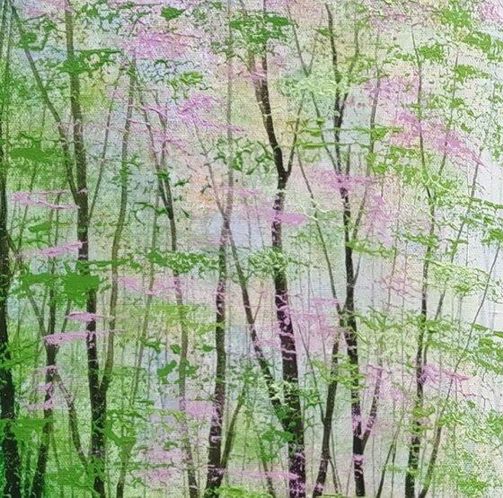 Echoes of Light, Forest Glade