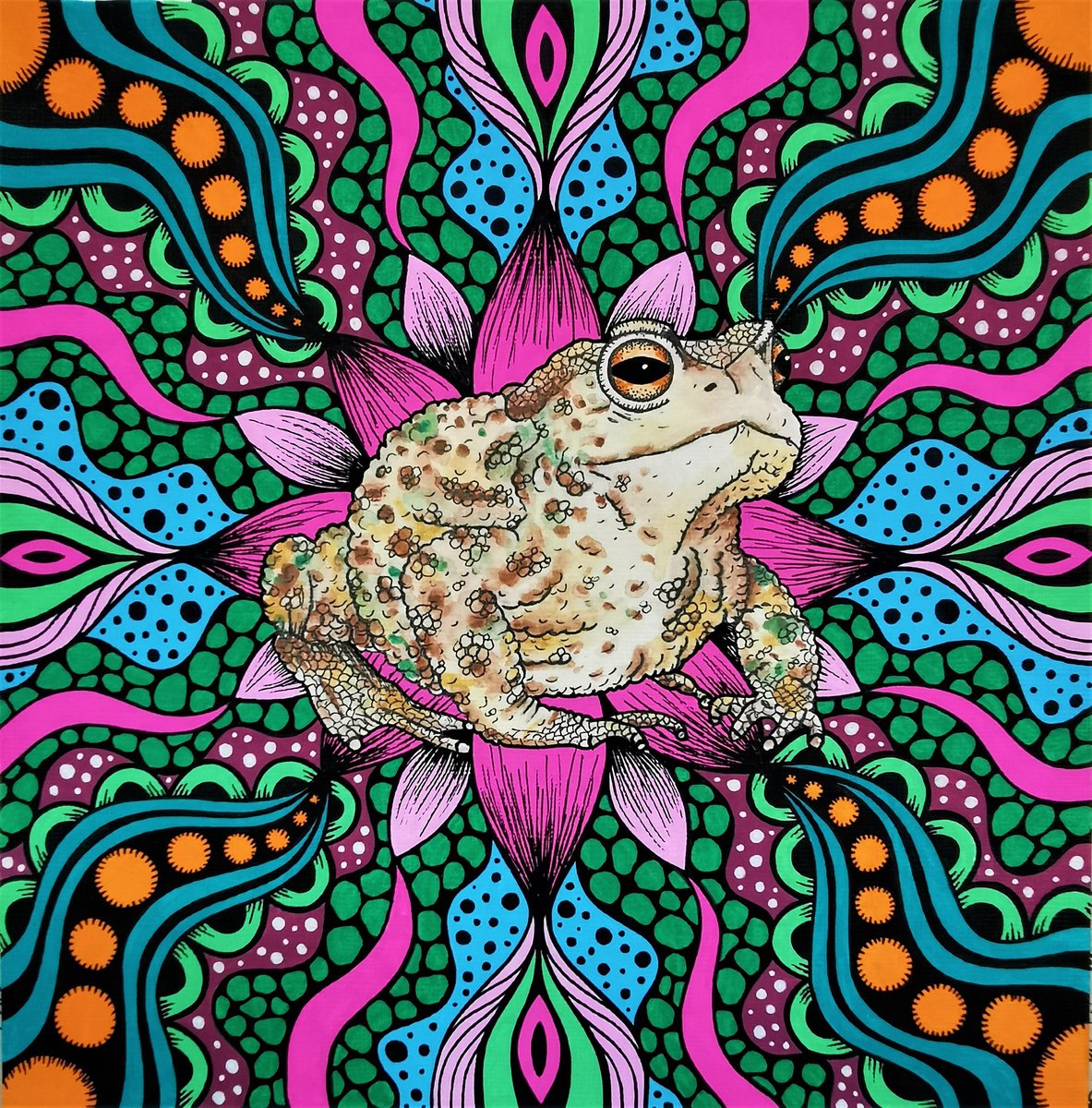 Psychedelic Toad - 21x21cm by Jodie Smallwood