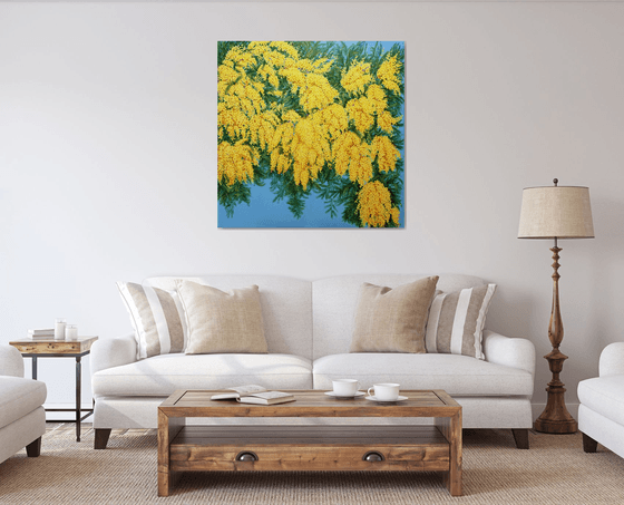 Mimosas in Bloom