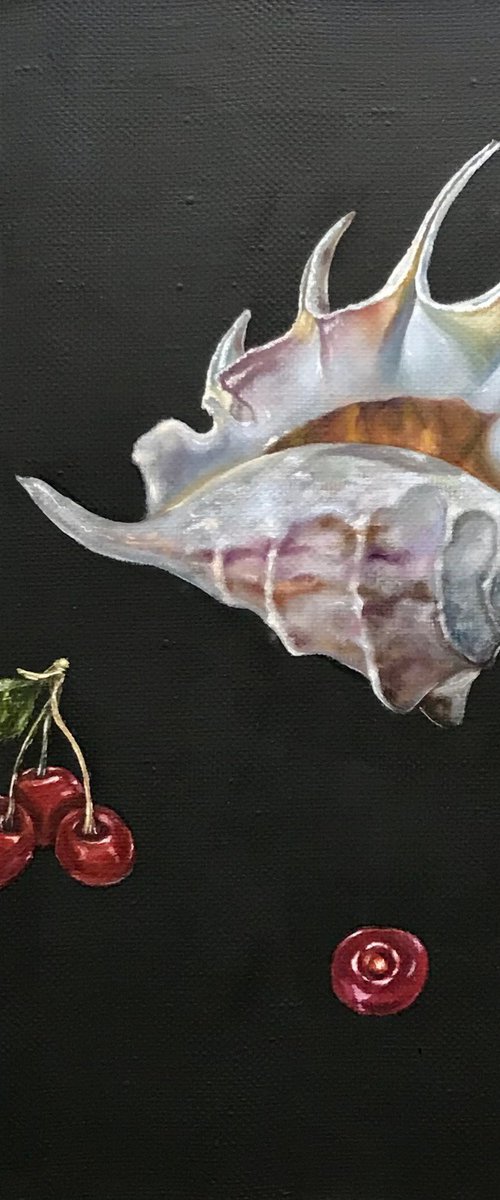 Shell & Cherry by Marina Deryagina