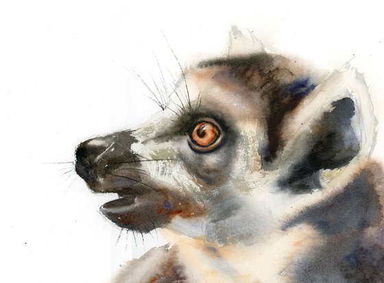 Lemur portrait