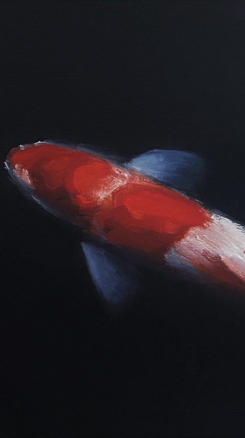 Koi Carp Fish. by Jackie Smith