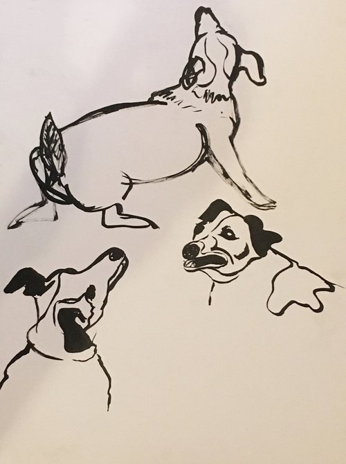 three dogs by René Goorman