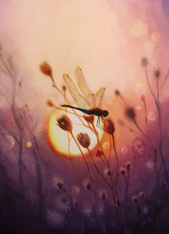 Dragonfly on the sunset - watercolor - summer evening