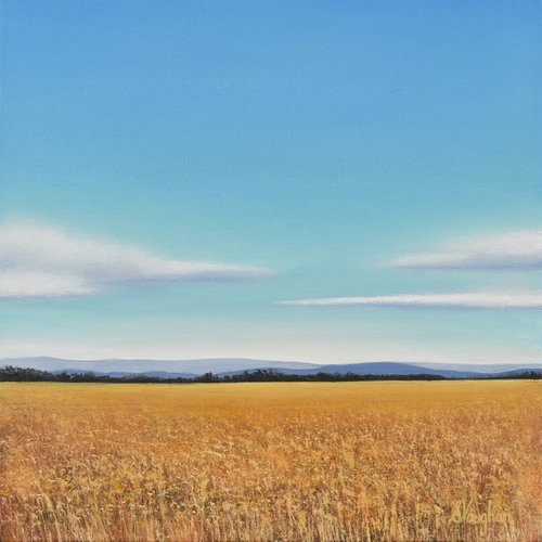 Wheat Field - Blue Sky Landscape by Suzanne Vaughan