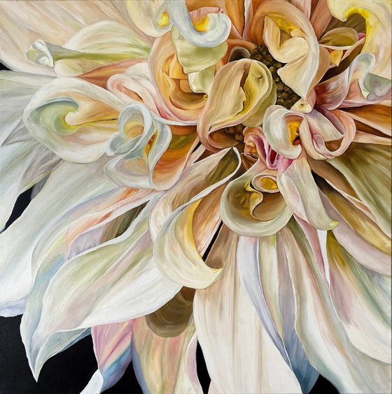 Magic Dahlia Petals