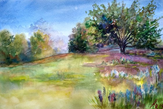 Meadow flowers