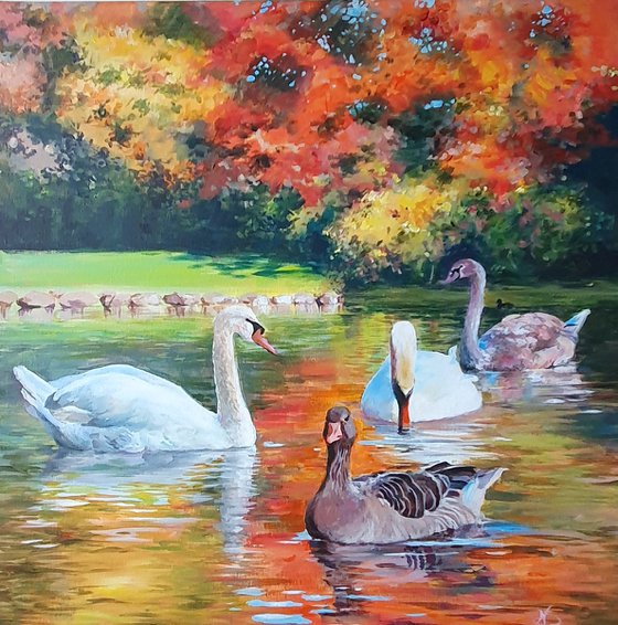 English Garden's swan autumn