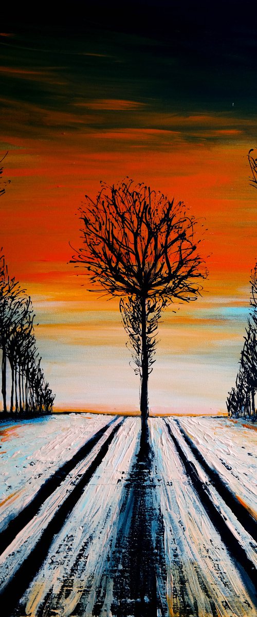 The Tree lines - Fields and Colors Series by Danijela Dan