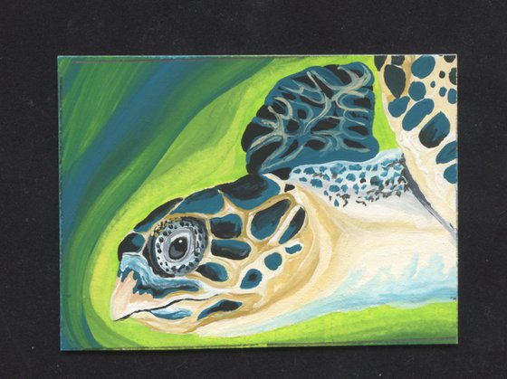 ACEO ATC Original Miniature Painting Sea Turtle Marine Wildlife Art-Carla Smale