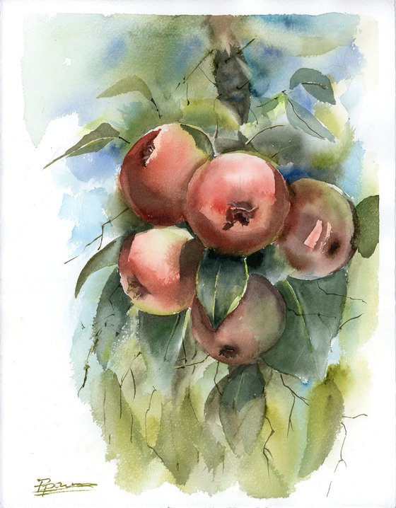 Apple Tree Branch - Original Watercolor