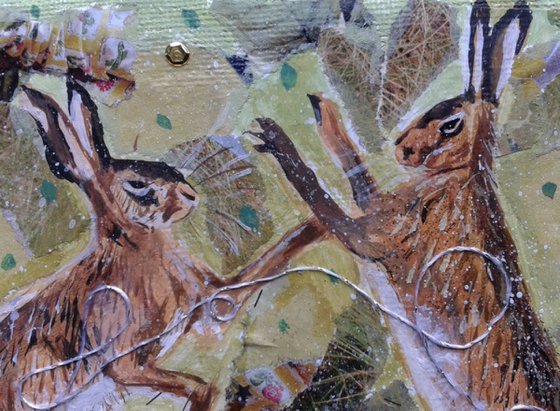 Hares in the meadow