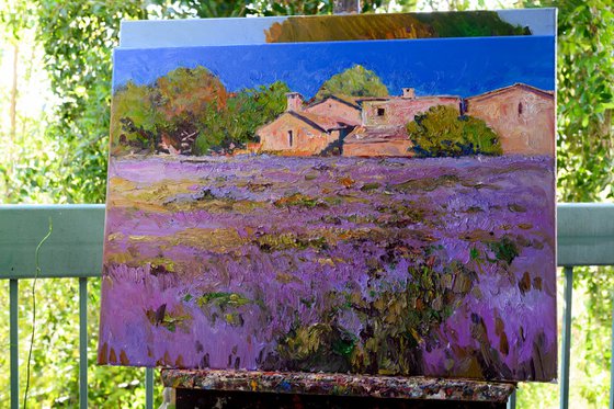 French Village. Lavender