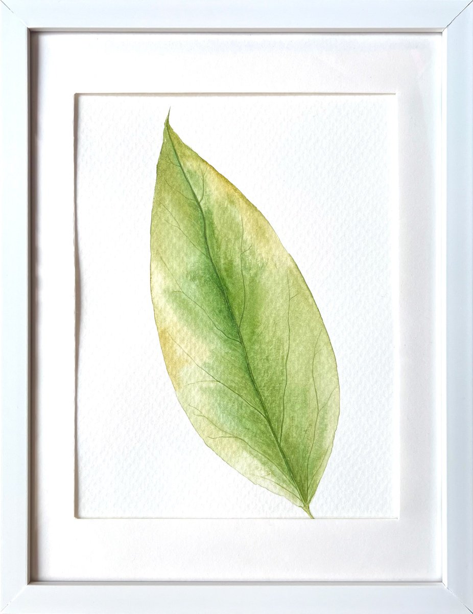 Graphic Botanical Watercolour By Tetiana Kovalova, 8 X 10", Autumn Leaf Sketch #4, Original Artwork