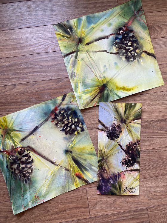 Pine cones - set of 2 watercolors