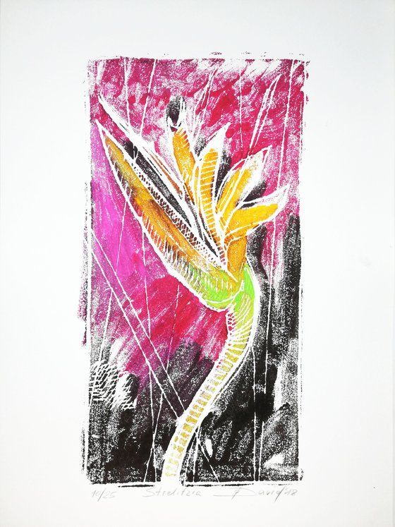 bird of paradise flower - Monotype 10