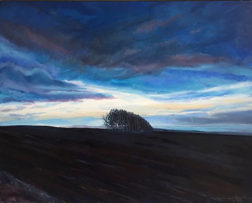 'Chosen Trees, Winter, Fife'. by Stephen Howard Harrison