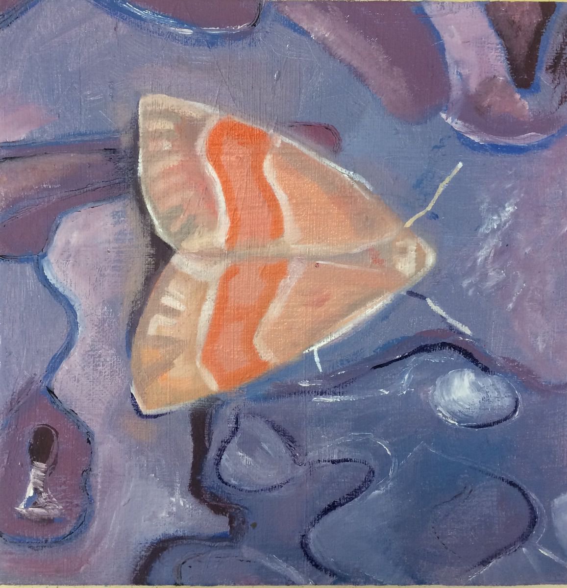 Pink Moth by Laura Stamps