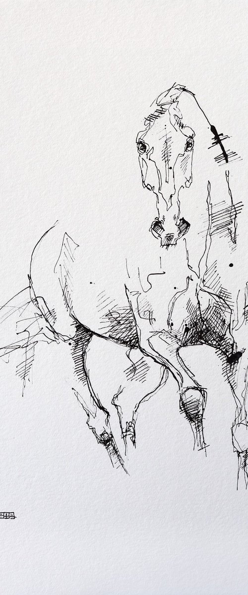 Equine Nude 22a by Benedicte Gele