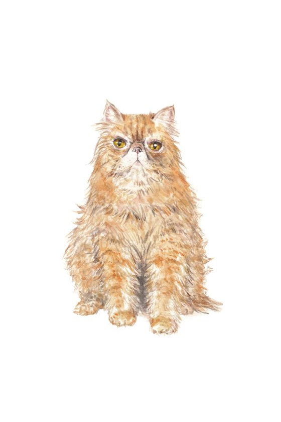 Persian Cat Original Watercolor
