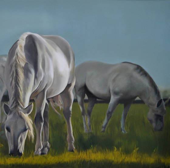 White Horses