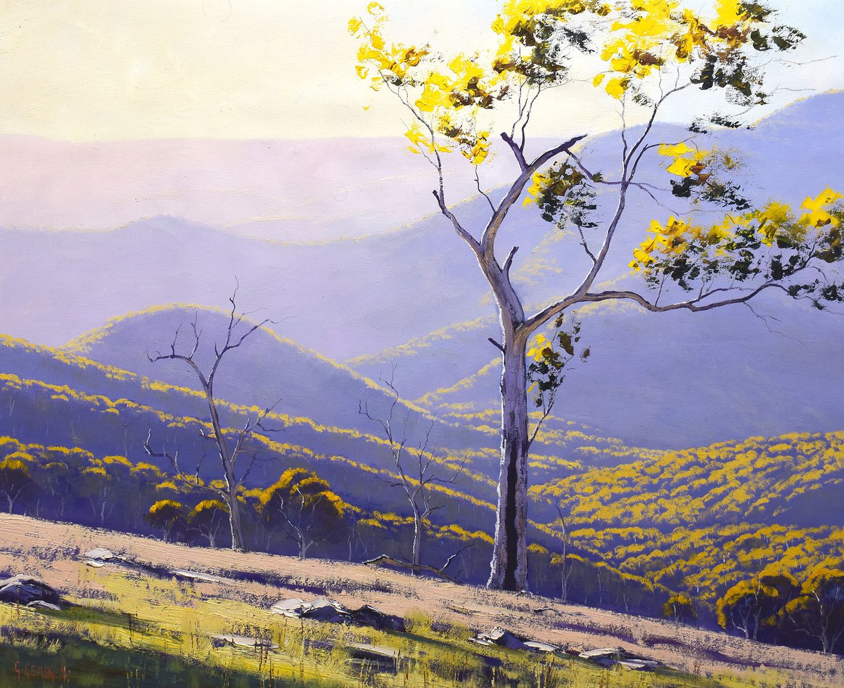 Hill landscape afternoon light Australia by Graham Gercken