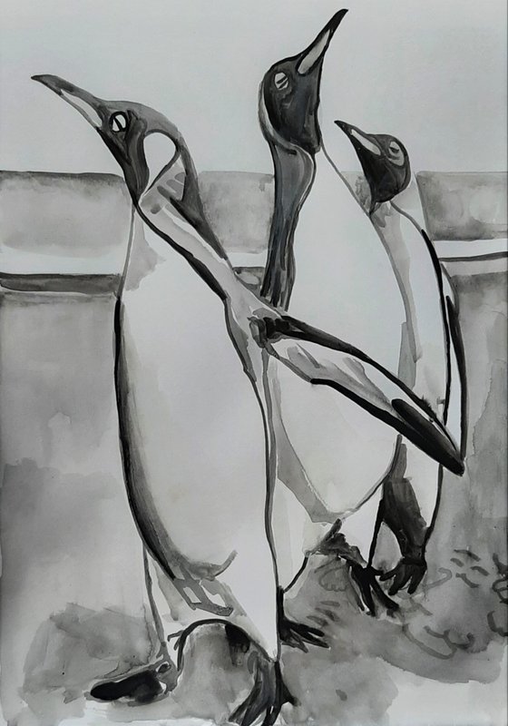 Pinguins / 42 x 29,7 cm