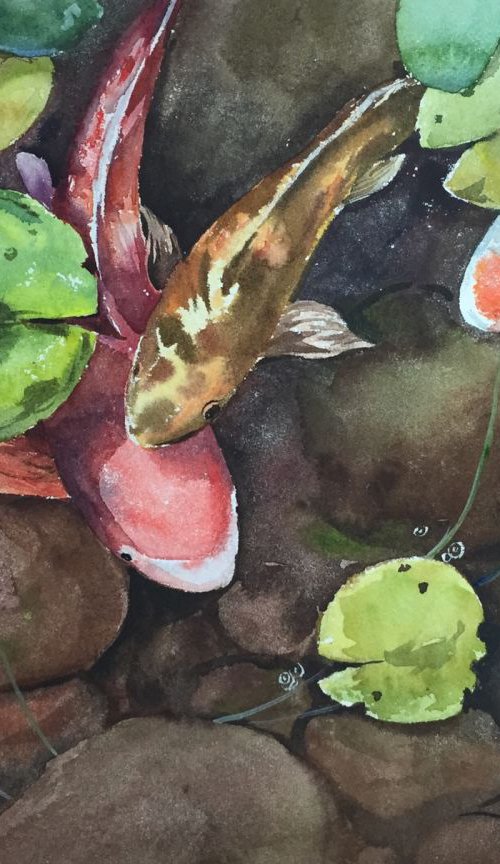 Koi fish by Jing Chen