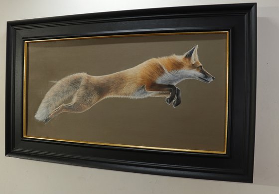 A Fox in Motion