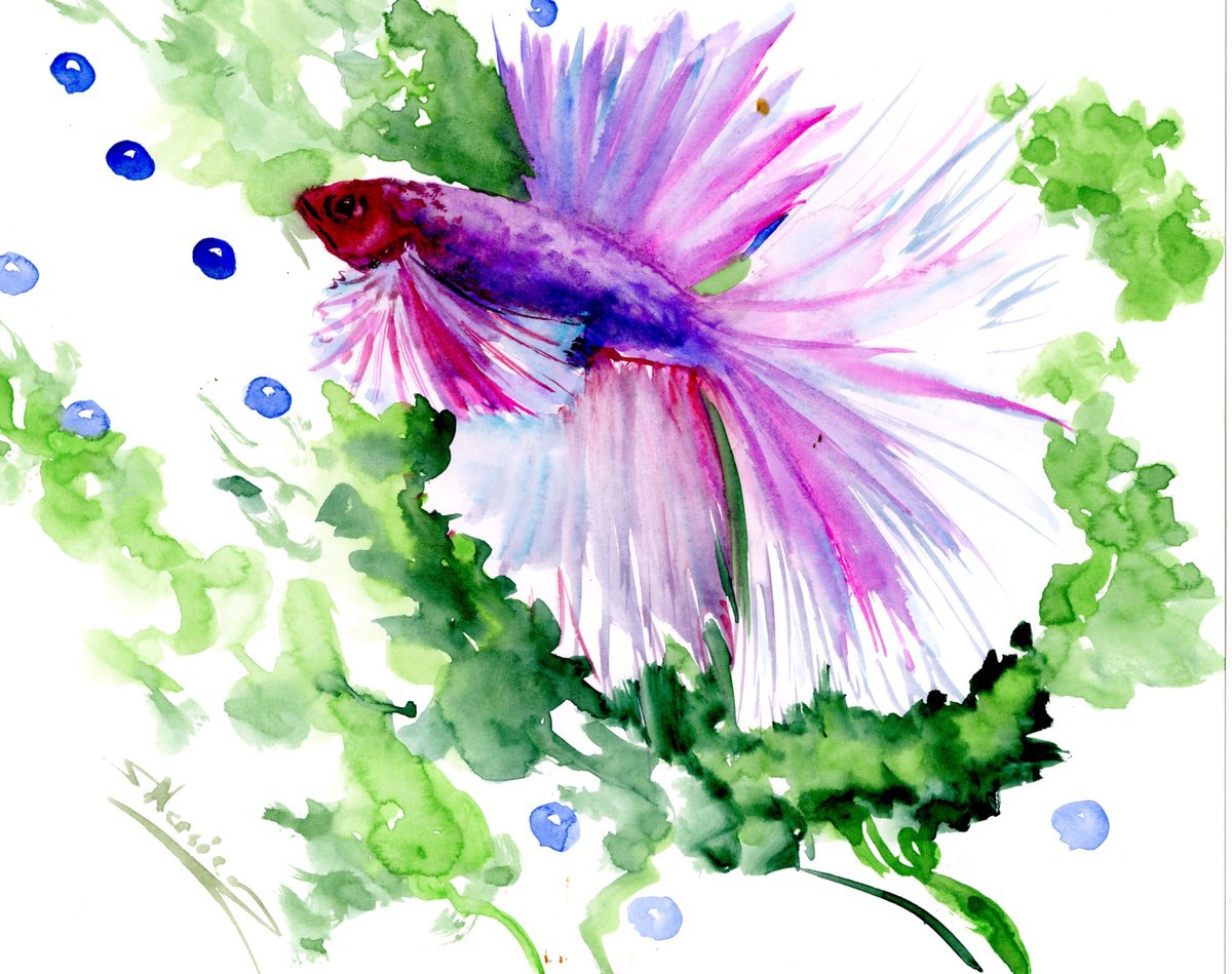 Betta Fish by Suren Nersisyan