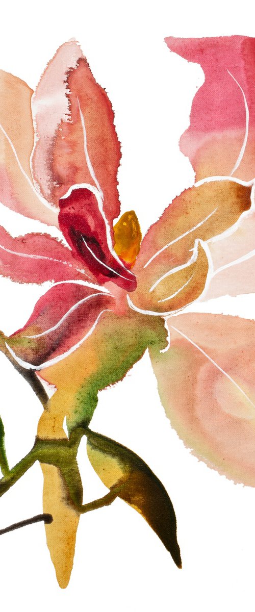 Magnolia No. 68 by Elizabeth Becker