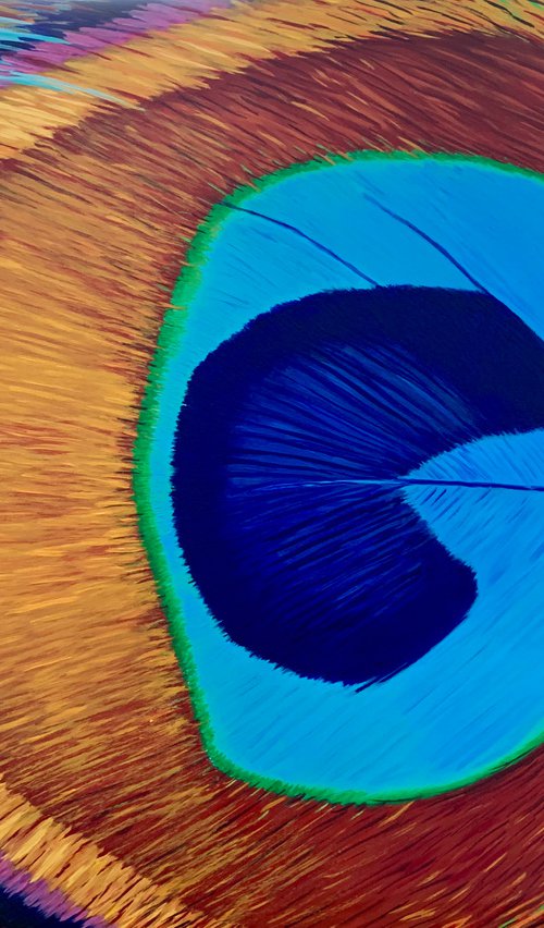 Peacock by Caroline Millott