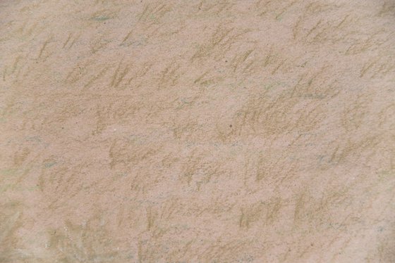 Earthy tones field landscape