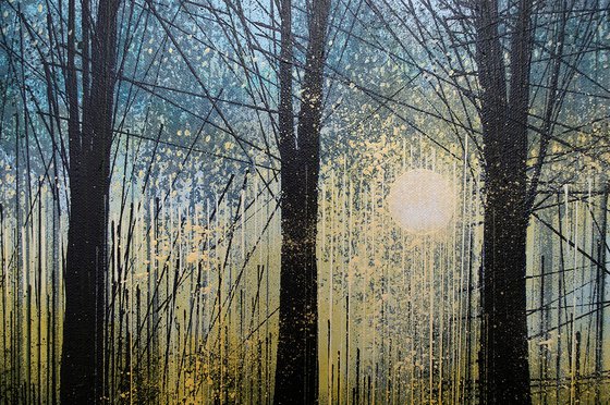 Forest Trees At Last Light