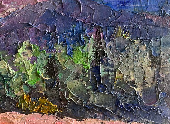 Flowery Mountain Meadows