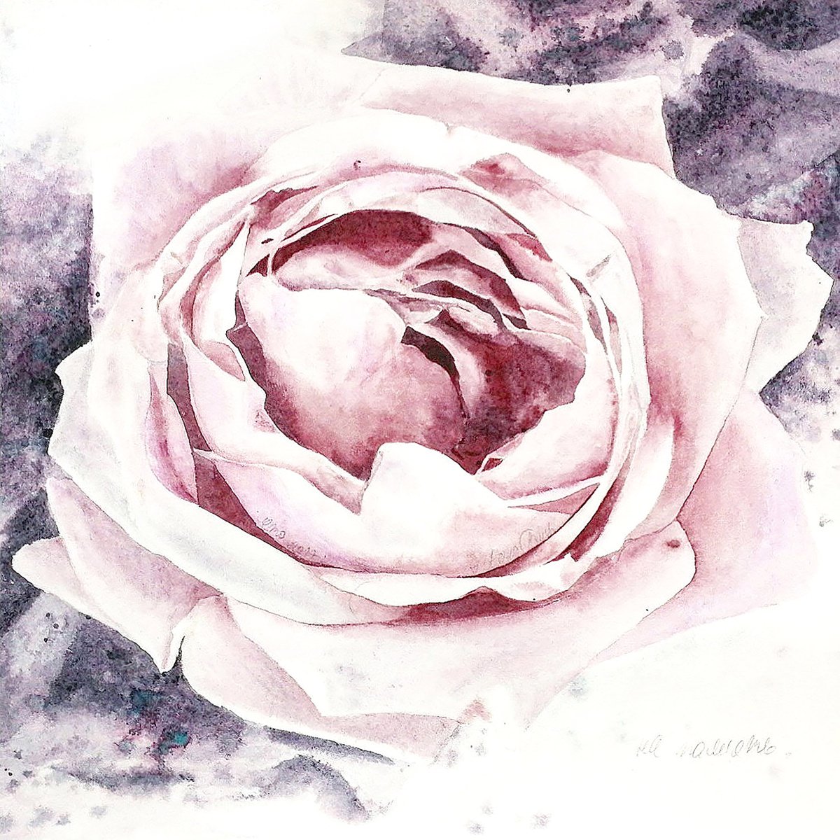 Terrific Fragrance Of The Rose - original floral watercolor painting by Alona Hryn