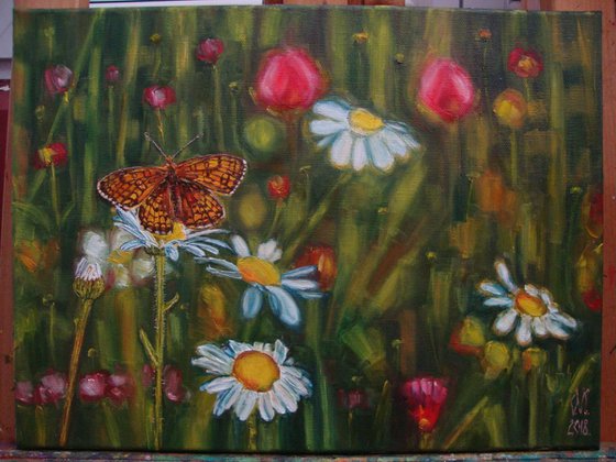Lovely meadow