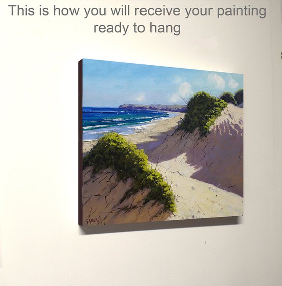 Coastal Sand Dunes and Ocean Headland