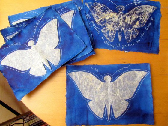 Denim Blue Butterfly
