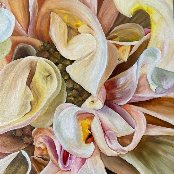 Magic Dahlia Petals
