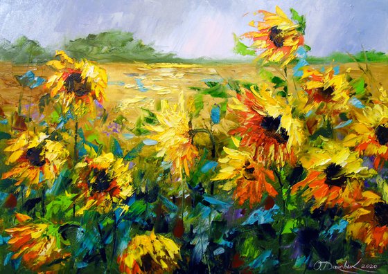 Wind and sunflowers