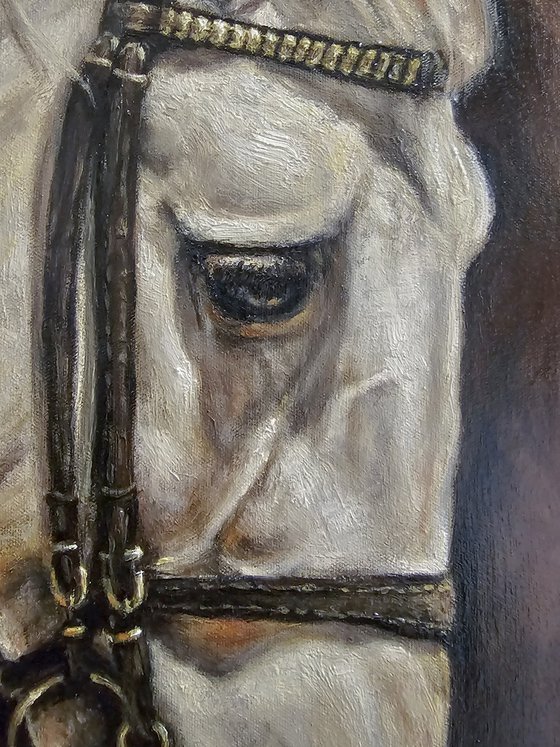 Andalusian-Original Horse Portrait