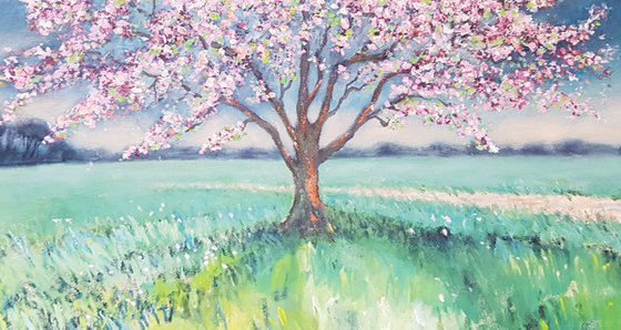 Spring Blossom - 'Hope Springs Eternal'