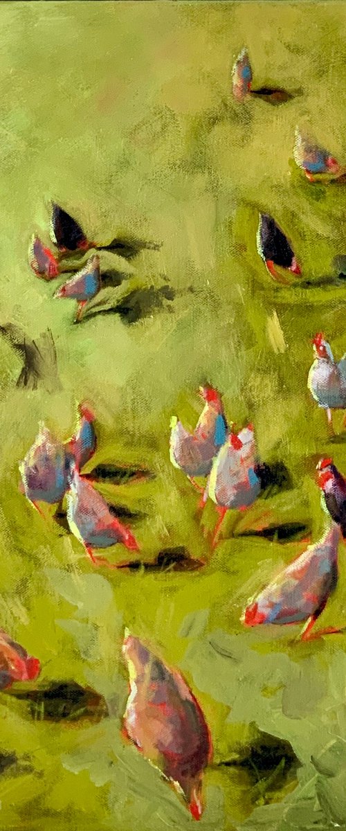 Free-Range Life by Lisa Timmerman