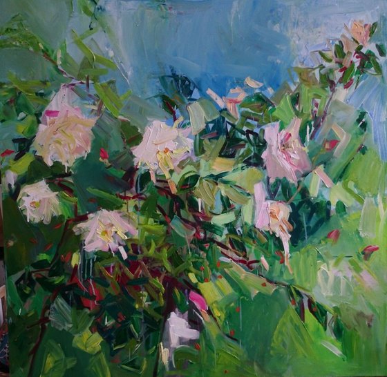 Roses. 100x100cm