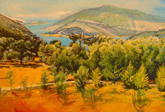 Summer Turkish landscape