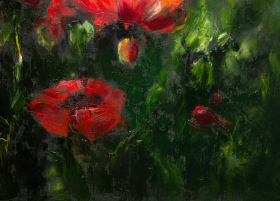 In love with poppies