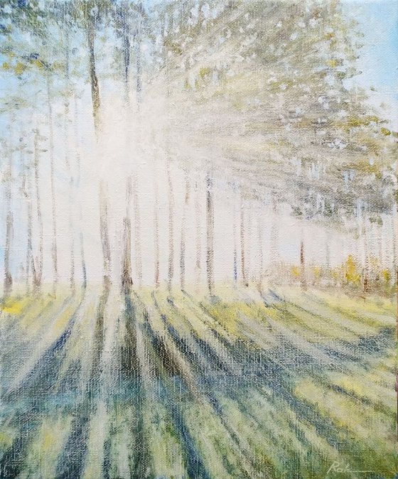 Morning rays 2 (60x50 cm)