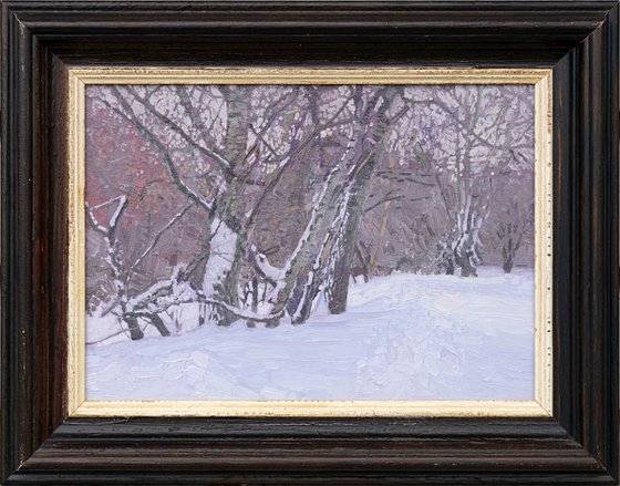 February. Alley in Tsaritsyno Park